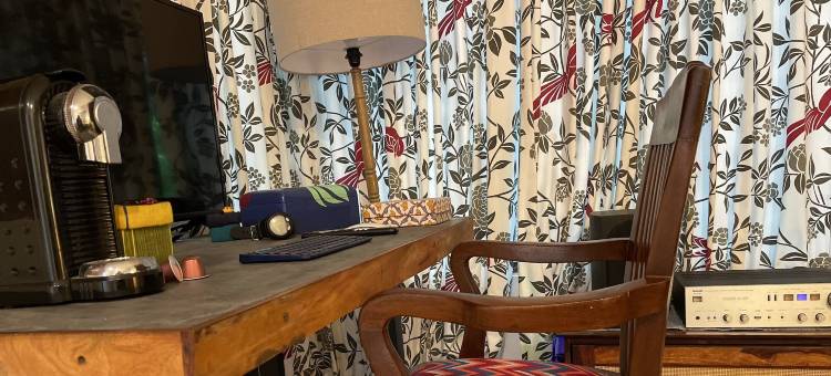 舞动的海牛(Dancing Dugong)图片