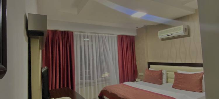 锡瓦斯Azze宫殿酒店(SİVAS Azze Palace Otel)图片