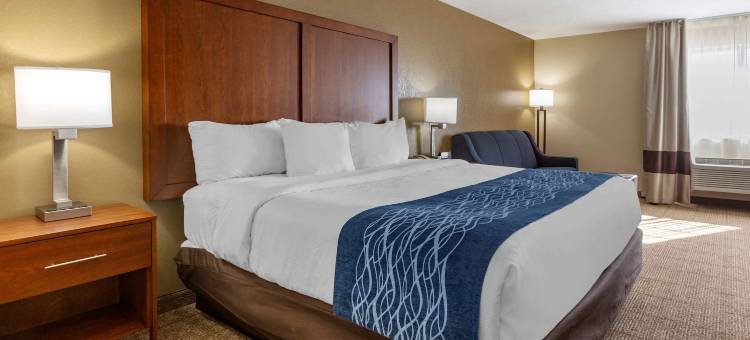 洛兹堡 I-10 舒适套房酒店(Comfort Inn & Suites Lordsburg I-10)图片