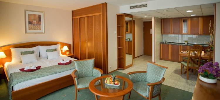 赫维兹宫殿酒店(Palace Hotel Hévíz)图片