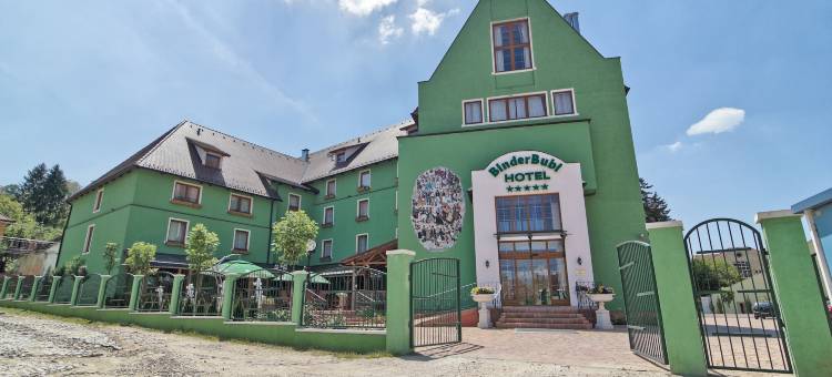 锡吉什瓦拉 Binderbubi 美居水疗酒店(Mercure Sighisoara Binderbubi Hotel & Spa)图片