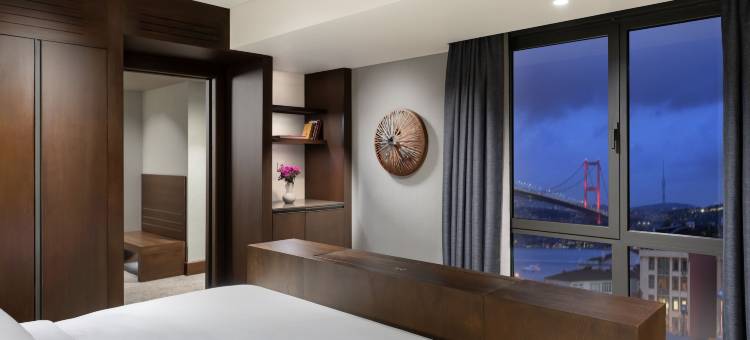 皇冠假日伊斯坦布尔奥塔科伊博斯普鲁斯(Crowne Plaza ISTANBUL - ORTAKOY BOSPHORUS by IHG)图片