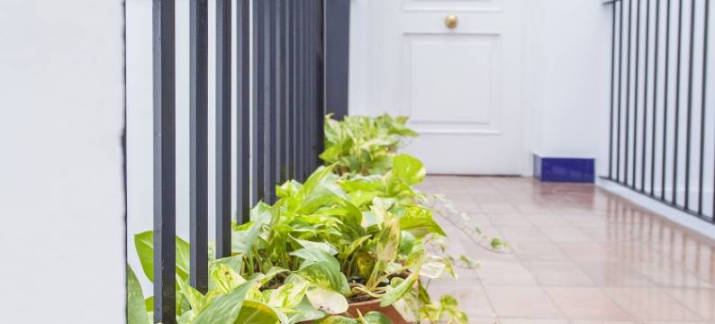 圣克鲁兹套房公寓(Apartamentos Suites Santa Cruz)图片