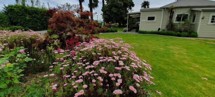 马斯特顿U公寓(U Studios Masterton)图片