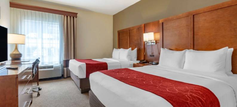 纽瓦克哈里森舒适套房酒店(Comfort Suites Newark - Harrison)图片