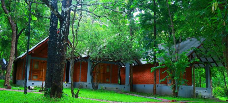 维维拉酒店(Hotel Viverra)图片