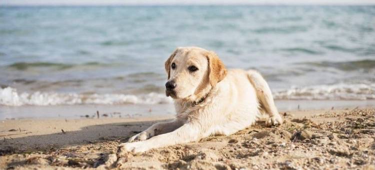 Suburban Studios Brunswick I-95图片