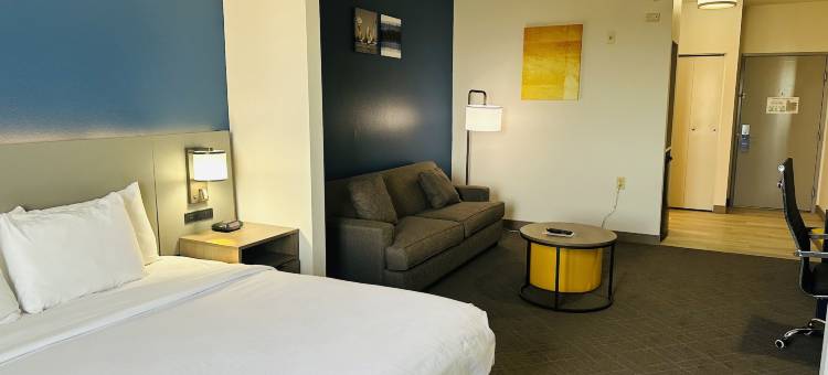 怀利舒适套房酒店(Comfort Inn & Suites Wylie)图片