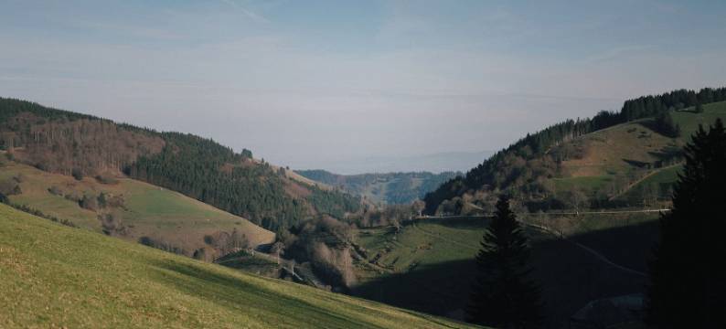 维登角伯格酒店(Berghotel Wiedener Eck)图片