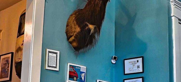 伊塞塔旅馆(精品旅馆)(Isetta Inn (Boutique Hostel))图片