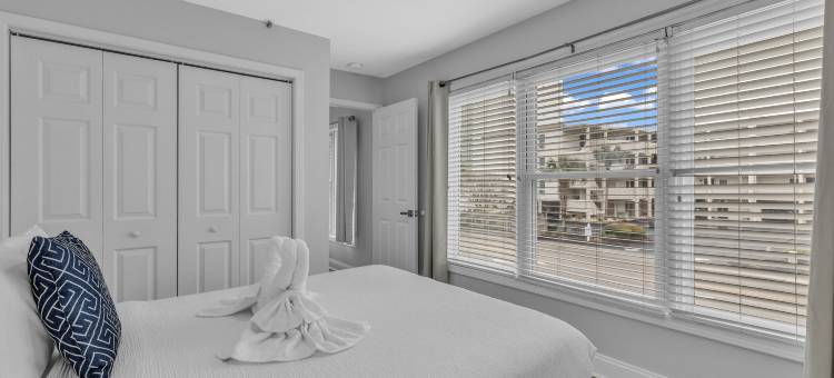 岛屿棕榈(Island palms)图片