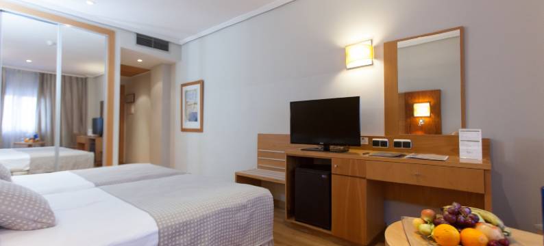 塞尔科蒂尔格兰法玛酒店(Sercotel Gran Fama)图片