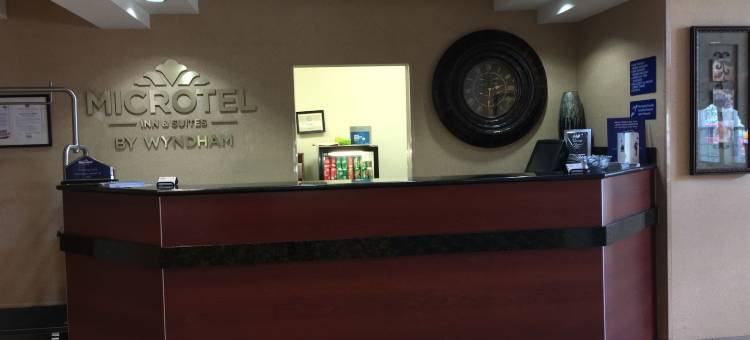 印第安纳波利斯机场温德姆麦客达酒店(Microtel Inn & Suites by Wyndham Indianapolis Airport)图片