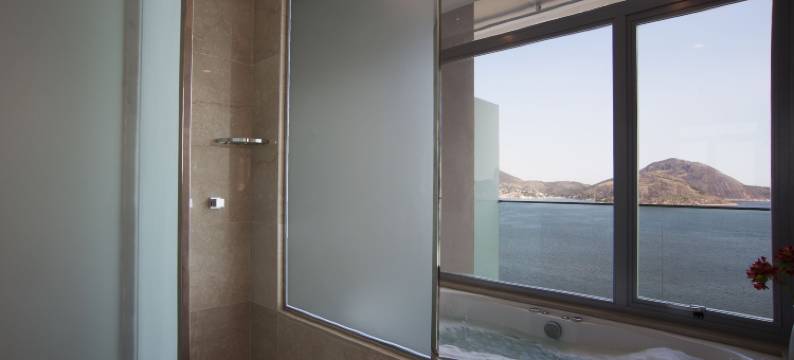 尼泰罗伊酒店(H Niteroi Hotel)图片