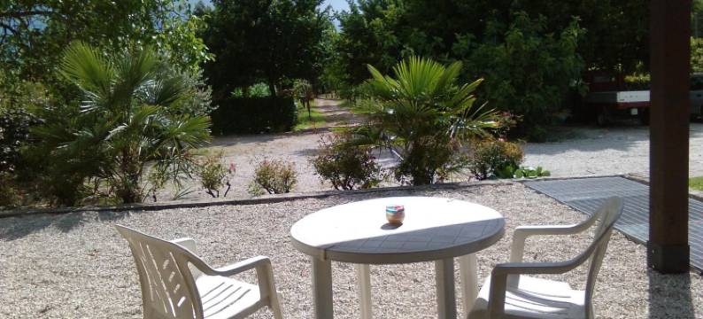 德尔法尔科乡村民宿(Il Podere del Falco)图片