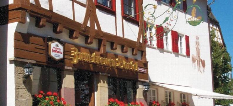 特鲁能巴特尔酒店(Zum Treuen Bartel)图片