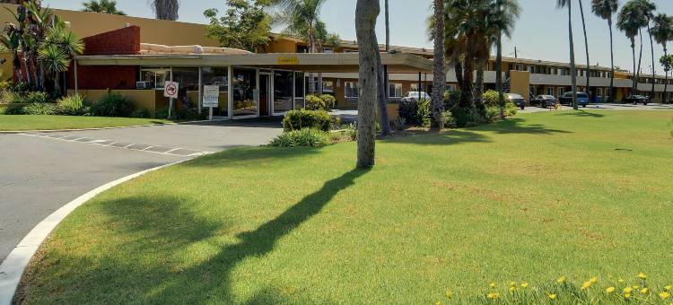 丘拉维斯塔帕尔梅拉斯酒店(Hotel Palmeras Chula Vista)图片