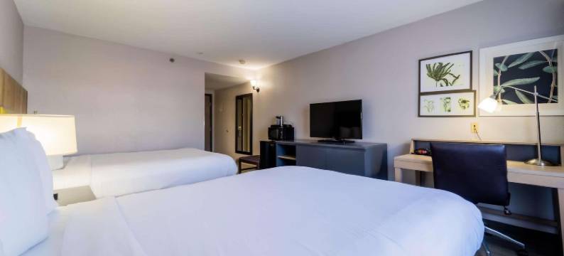 里士满I-95南丽怡酒店(Country Inn & Suites by Radisson, Richmond I-95 South, VA)图片