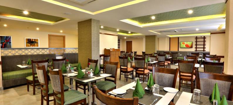 尼米拉那斯达利特套房酒店(Starlit Suites Neemrana)图片