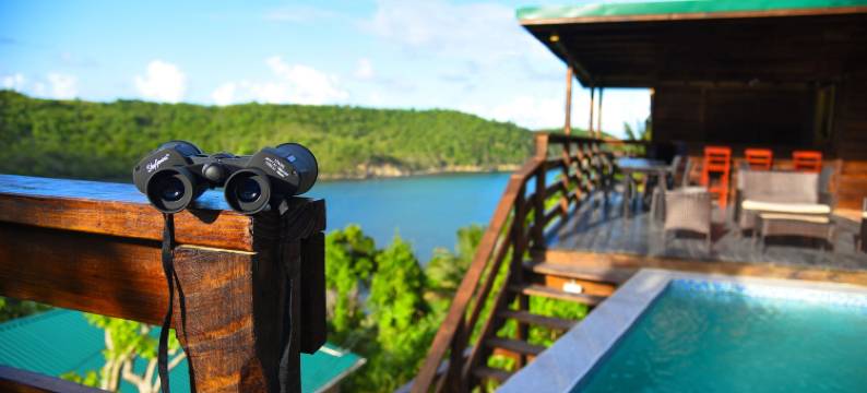 香料湾套房酒店(Spice Bay Suites)图片