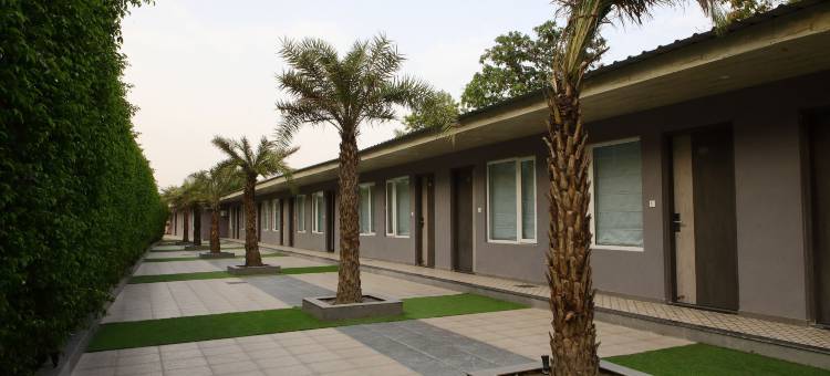 金斯顿度假村(Kingston Resort)图片