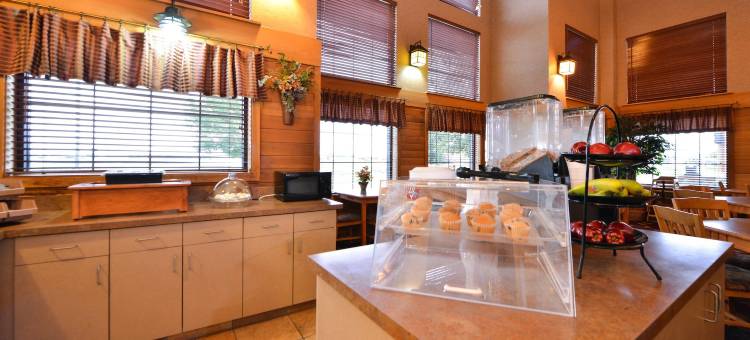 南达科他米歇尔凯利套房酒店(Kelly Inn and Suites Mitchell)图片