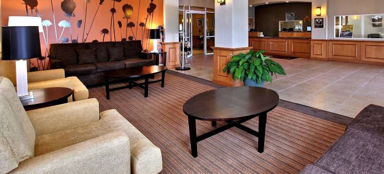 奥卡拉/贝尔维尤舒眠套房酒店(Sleep Inn & Suites Ocala)图片