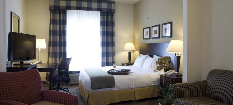 智选假日套房酒店亚特兰大埃默里大学区(Holiday Inn Express & Suites Atlanta-Emory University Area)图片