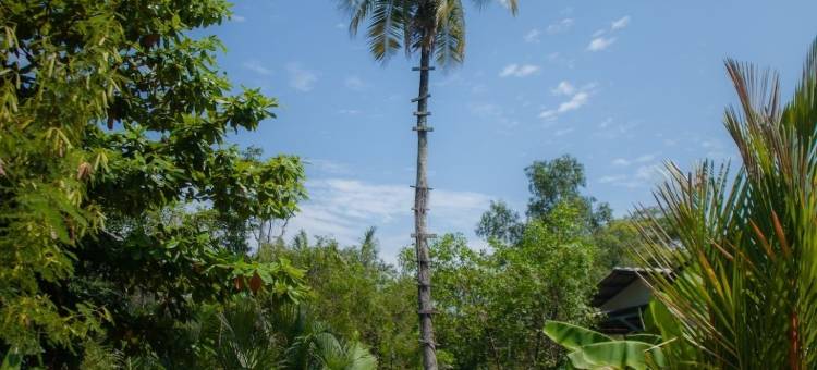 桐艾 101 号酒店(Trat 101 Hotel)图片