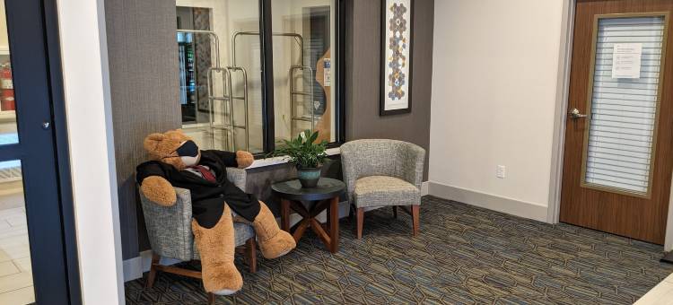 Holiday Inn Express 南伯灵顿(Holiday Inn Express South Burlington)图片