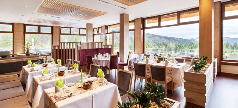 帕提赞酒店(Hotel Partizán)图片