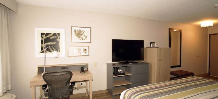 格林菲尔德丽怡酒店(Country Inn & Suites by Radisson, Greenfield, IN)图片