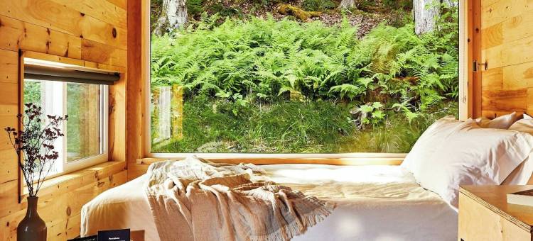 明信片小屋吉尔克雷斯特泉，万豪旅享家户外系列(Postcard Cabins Gilchrist Springs)图片