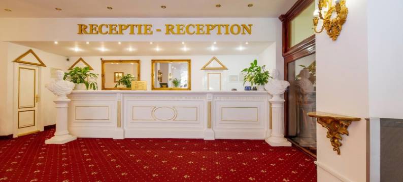 罗马尼勒伊姆帕拉图塞塔特酒店(Hotel Cetate)图片