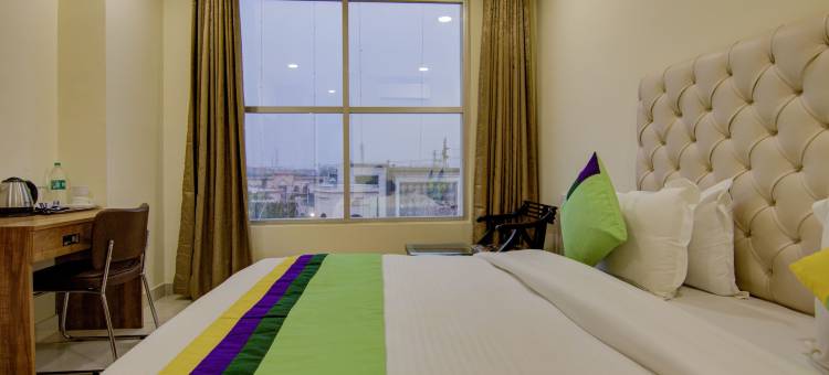 Treebo 托克(Treebo Torque)图片