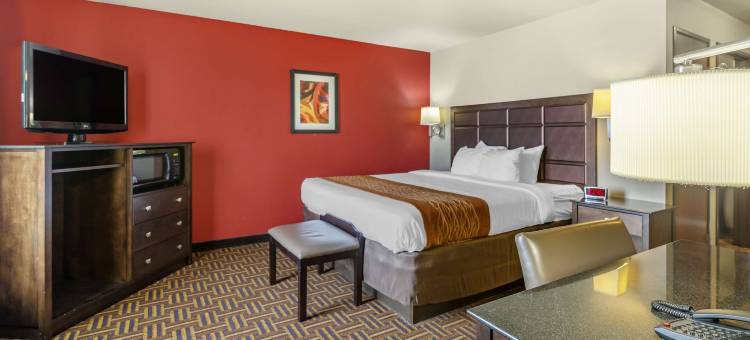 迈诺特索尼斯塔精品酒店(Sonesta Essential Minot)图片