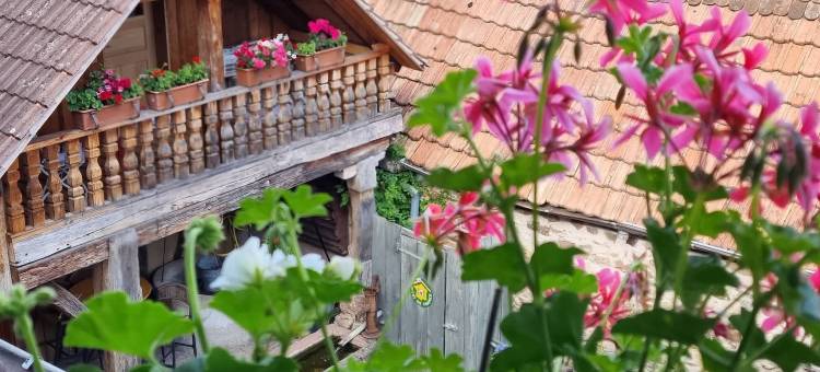 甘布里努斯之家(Gîte Gambrinus)图片