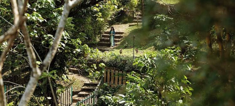 帕拉迪萨自然度假村(Paradisa Nature Resort)图片