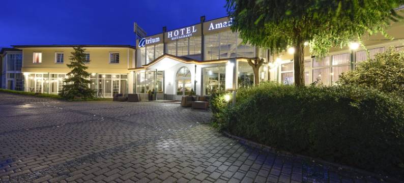 阿马迪厄斯中庭酒店(Atrium Hotel Amadeus)图片