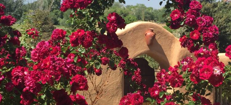 陶斯老城区住宿加早餐旅馆(Old Taos Guesthouse B&B)图片