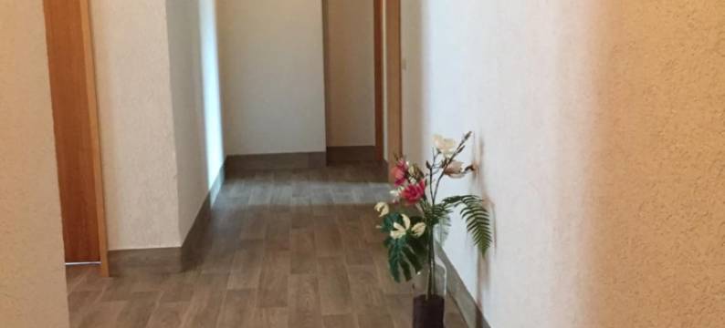 老玫瑰宾馆酒店(Alte Rose Gasthaus)图片