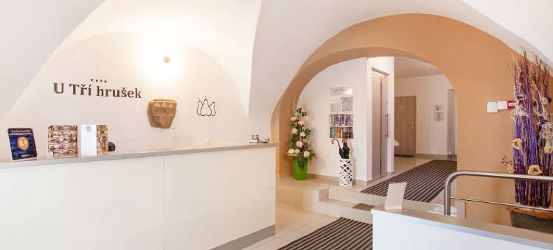 三颗梨套房公寓(Hotel U Tří hrušek Suites & Apartments)图片