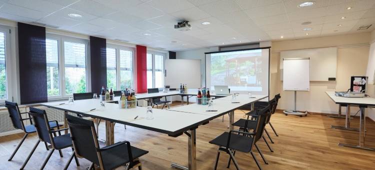 瑞登姆勒罗曼蒂克酒店(Romantik Hotel Rindenmühle)图片