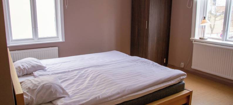 阿德尔斯加坦民宿(Adelsgatan Bed & Breakfast)图片