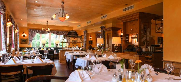 克洛凡斯帝恩酒店(Ringhotel Klövensteen)图片