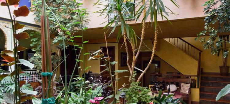 梅希纳方戴尔斯酒店(Hotel de Mecina Fondales)图片