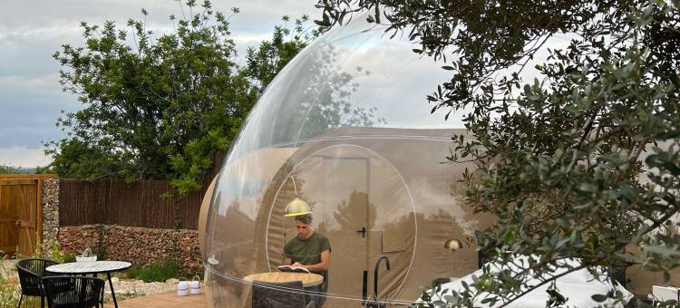 卡利格之夜(Noches de Calig)图片