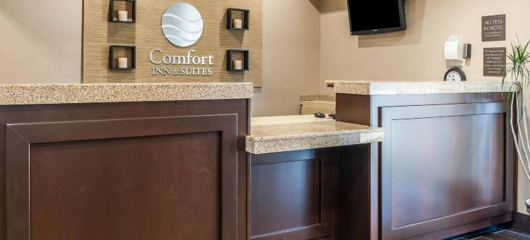 舒适套房酒店(Comfort Inn & Suites)图片