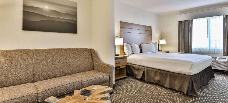 山景贝斯特韦斯特酒店(Best Western Mountain View Inn)图片