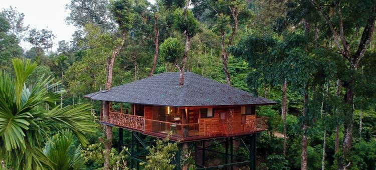 宁静度假村 - BluSalzz精选，瓦亚纳德(Tranquil Resort – BluSalzz Collection, Wayanad – Kerala)图片